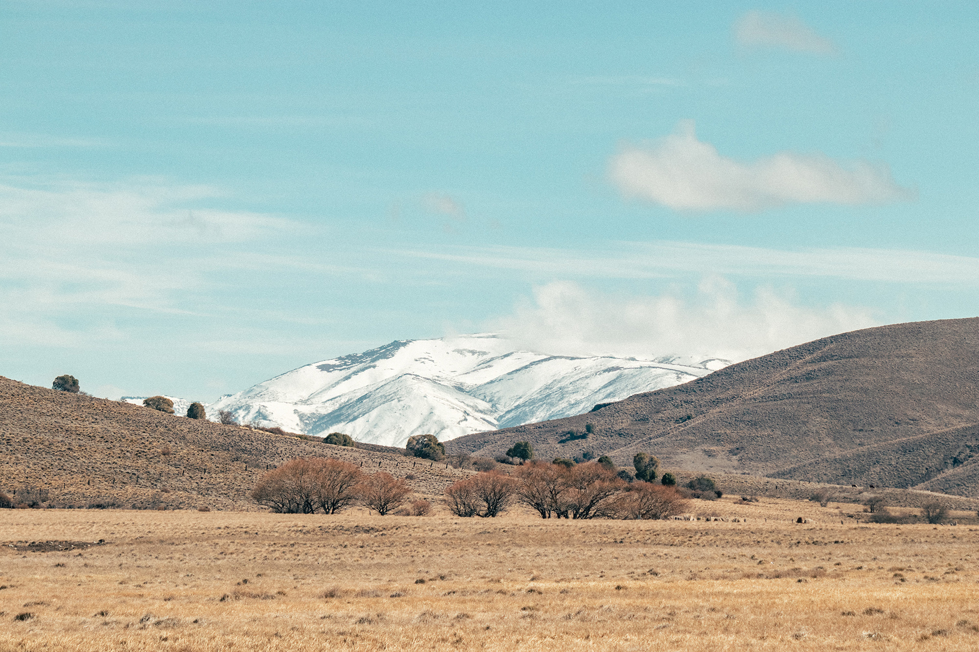 Argentina